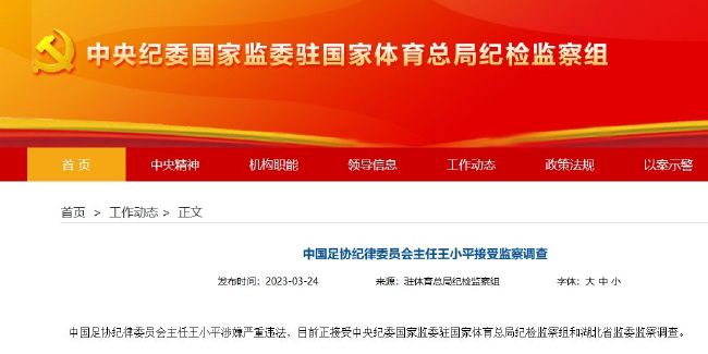 他回避了这些问题，自欺欺人地把上述内容拔高到革命的浪漫主义思想高度(这样做不是根据党的指示，也不是像今天人们所想的那样，而是根据真诚的信仰)，而所有这一切都已深藏于作品。